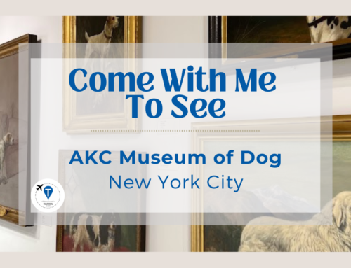 A Museum Dedicated To Dogs in New York City